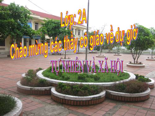 Bài 19. Đường giao thông