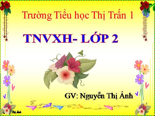 Bài 24. Cây sống ở đâu?