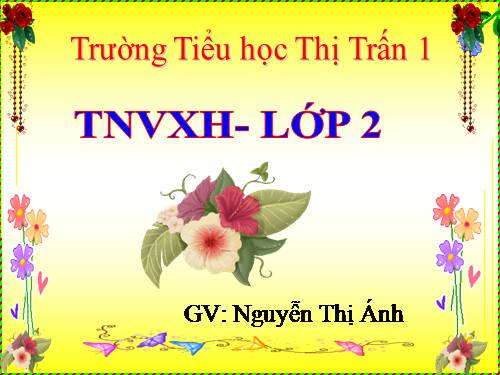 Bài 24. Cây sống ở đâu?