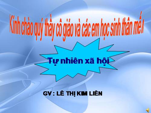 Bài 21. Cuộc sống xung quanh