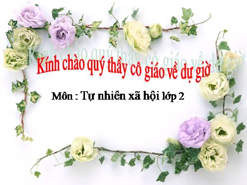 Bài 8. Ăn, uống sạch sẽ