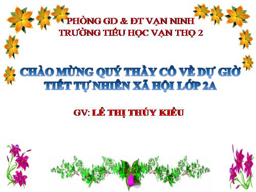Bài 11. Gia đình