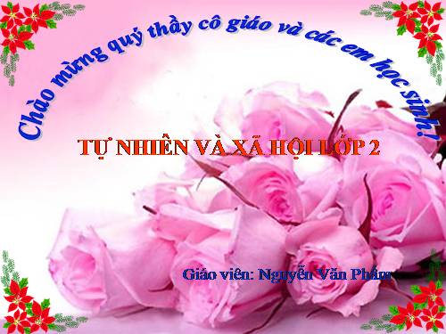 Bài 17. Phòng tránh ngã khi ở trường