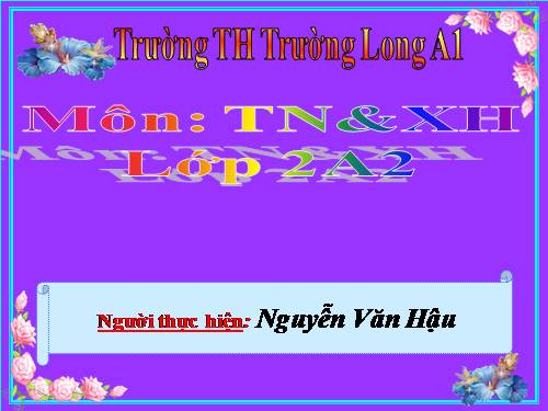 Bài 22. Cuộc sống xung quanh (tiếp theo)