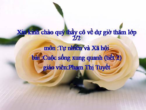 Bài 22. Cuộc sống xung quanh (tiếp theo)