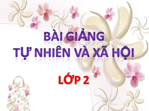Bài 15. Trường học