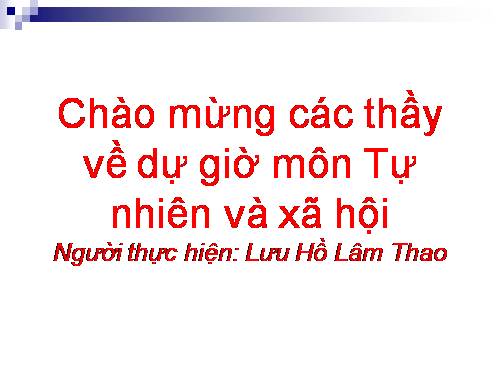 Bài 20. An toàn khi đi các phương tiện giao thông
