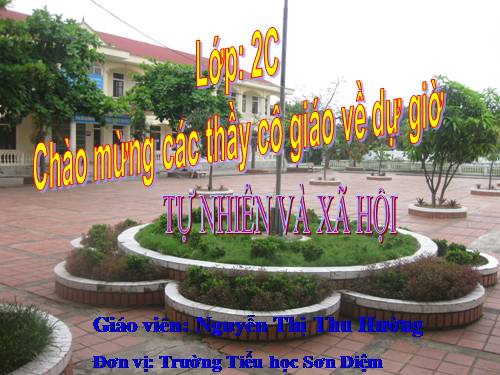Bài 19. Đường giao thông