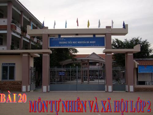 Bài 20. An toàn khi đi các phương tiện giao thông