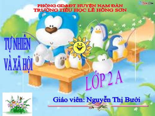 Bài 25. Một số loài cây sống trên cạn
