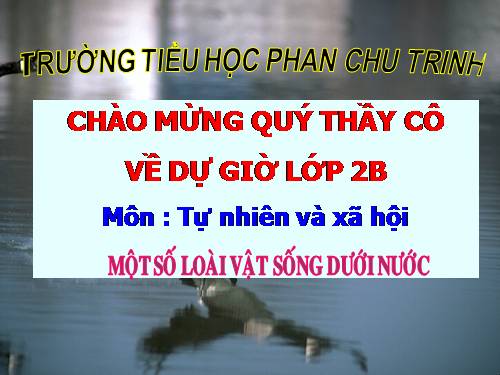 Bài 29. Một số loài vật sống dưới nước