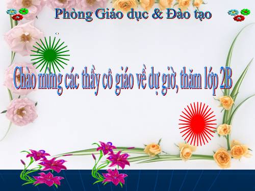 Bài 20. An toàn khi đi các phương tiện giao thông