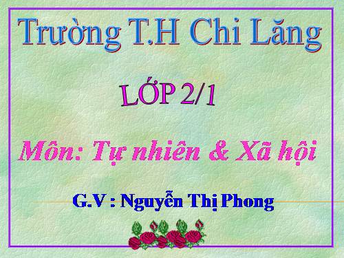Bài 11. Gia đình