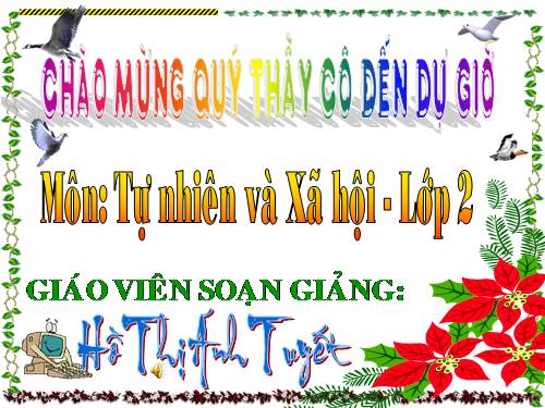 Bài 14. Phòng tránh ngộ độc khi ở nhà