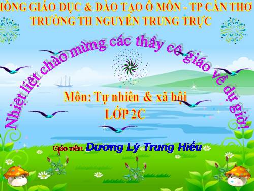 Bài 27. Loài vật sống ở đâu?