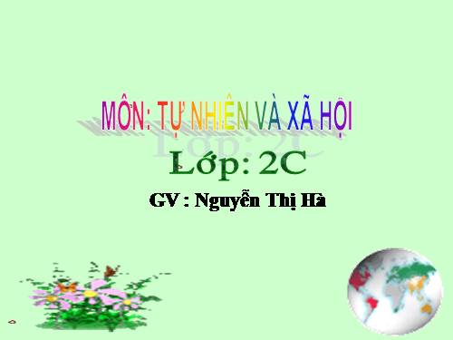 Bài 13. Giữ sạch môi trường xung quanh nhà ở