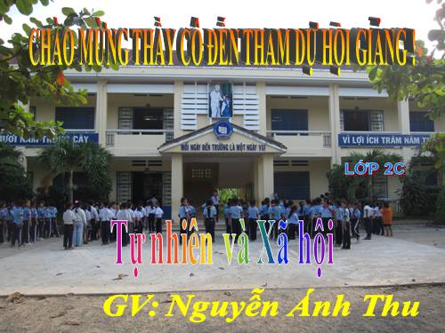 Bài 15. Trường học