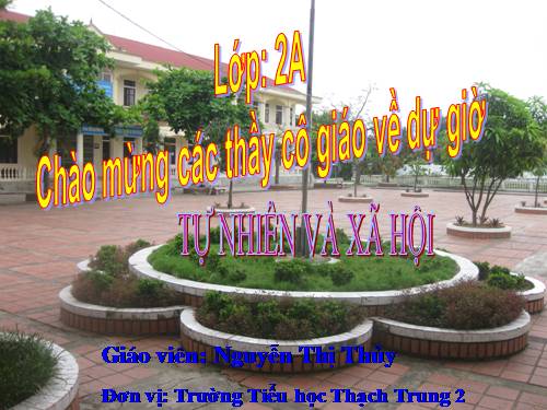 Bài 19. Đường giao thông