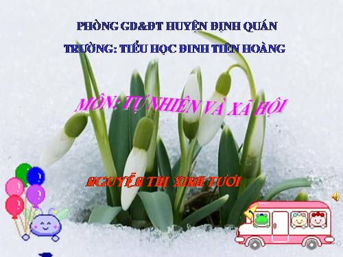 Bài 20. An toàn khi đi các phương tiện giao thông
