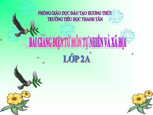 Bài 14. Phòng tránh ngộ độc khi ở nhà