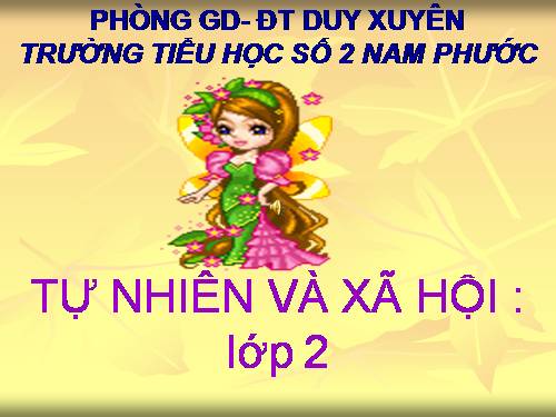 Bài 15. Trường học