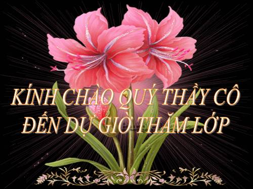 Bài 20. An toàn khi đi các phương tiện giao thông