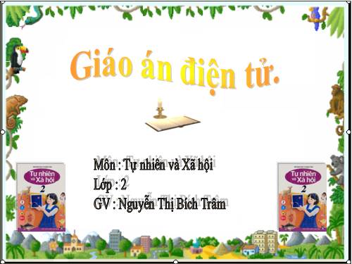 Bài 16. Các thành viên trong nhà trường