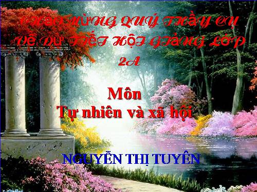 Bài 16. Các thành viên trong nhà trường