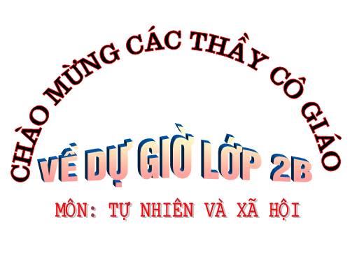 Bài 16. Các thành viên trong nhà trường