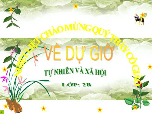 Bài 17. Phòng tránh ngã khi ở trường