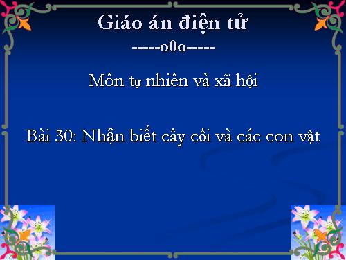 Bài 30. Nhận biết cây cối và các con vật
