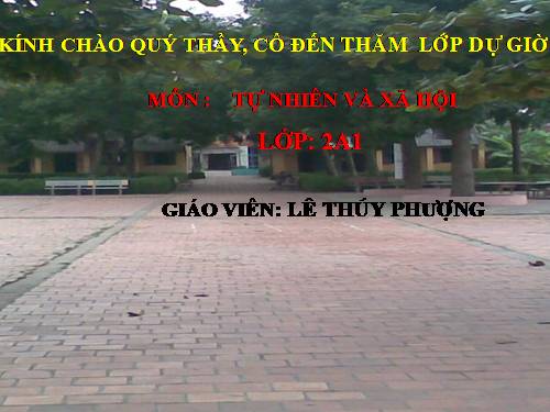 Bài 33. Mặt Trăng và các vì sao