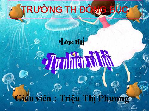 Bài 29. Một số loài vật sống dưới nước