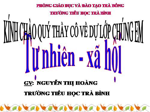 Bài 24. Cây sống ở đâu?