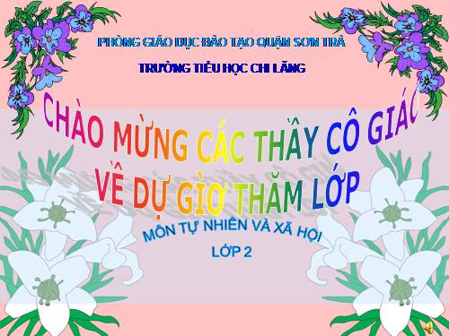 Bài 30. Nhận biết cây cối và các con vật
