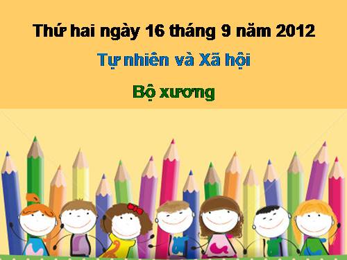 Bài 2. Bộ xương