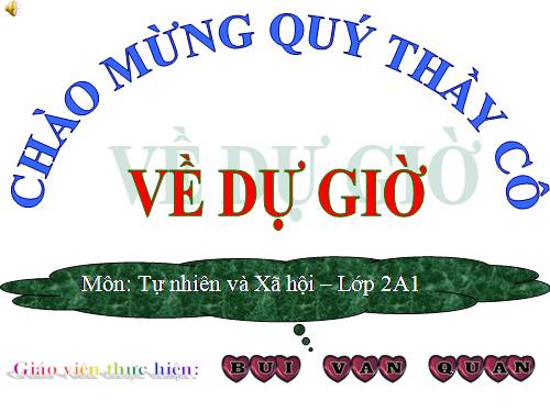 Bài 13. Giữ sạch môi trường xung quanh nhà ở