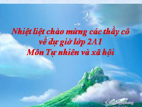 Bài 8. Ăn, uống sạch sẽ