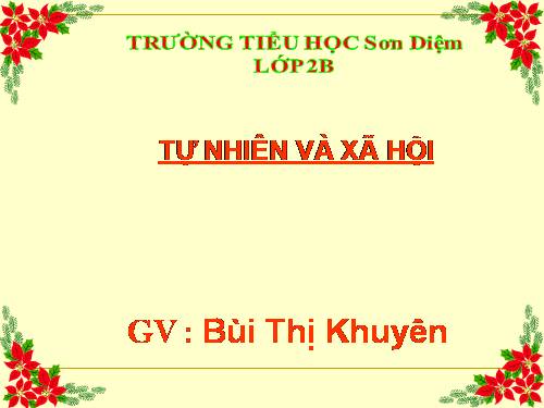Bài 17. Phòng tránh ngã khi ở trường