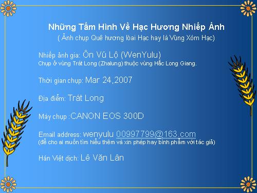 Ảnh đẹp và sếu