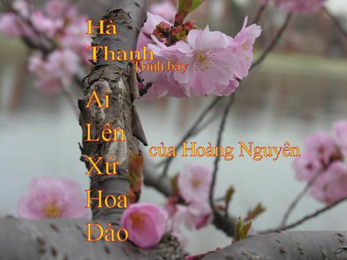 Bài hát Ai lên xứ hoa đào