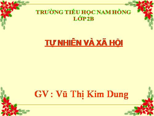 Bài 17. Phòng tránh ngã khi ở trường