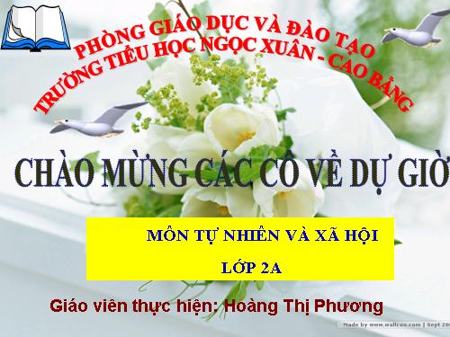 Bài 12. Đồ dùng trong gia đình
