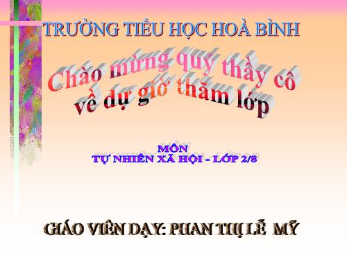 Bài 10. Ôn tập: Con người và sức khoẻ