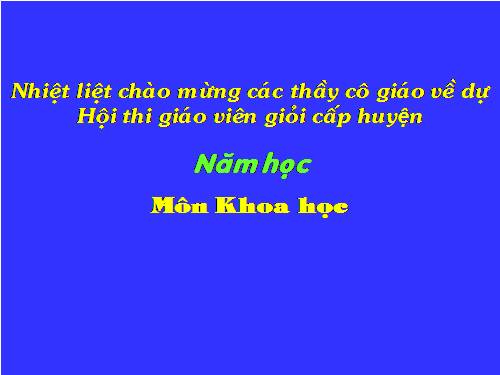 GA THI GVG HUYỆN 11