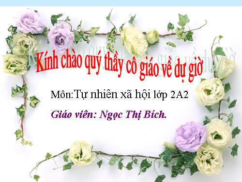 Bài 8. Ăn, uống sạch sẽ