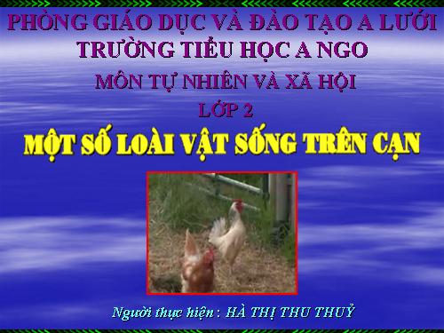 Bài 28. Một số loài vật sống trên cạn