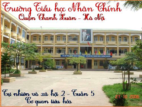 Bài 5. Cơ quan tiêu hoá