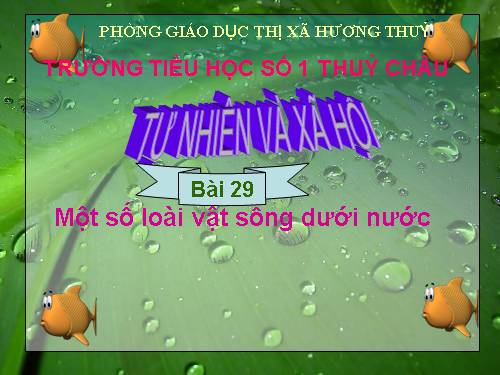 Bài 29. Một số loài vật sống dưới nước
