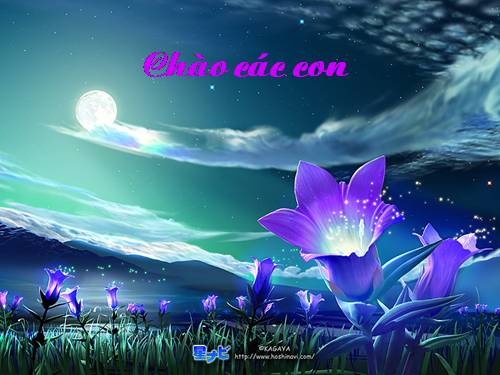 Bài 7. Ăn, uống đầy đủ